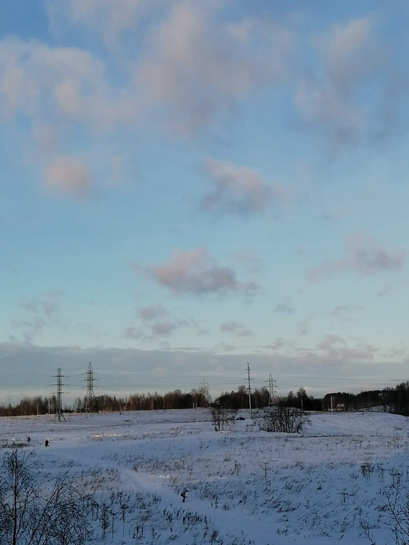 Это вид из моего окна. Есть где гулять, стараюсь делать это каждый день