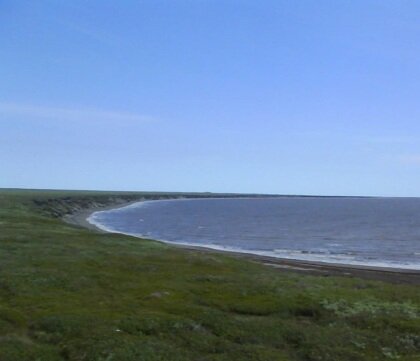 Тундра. Берег Белого моря. 