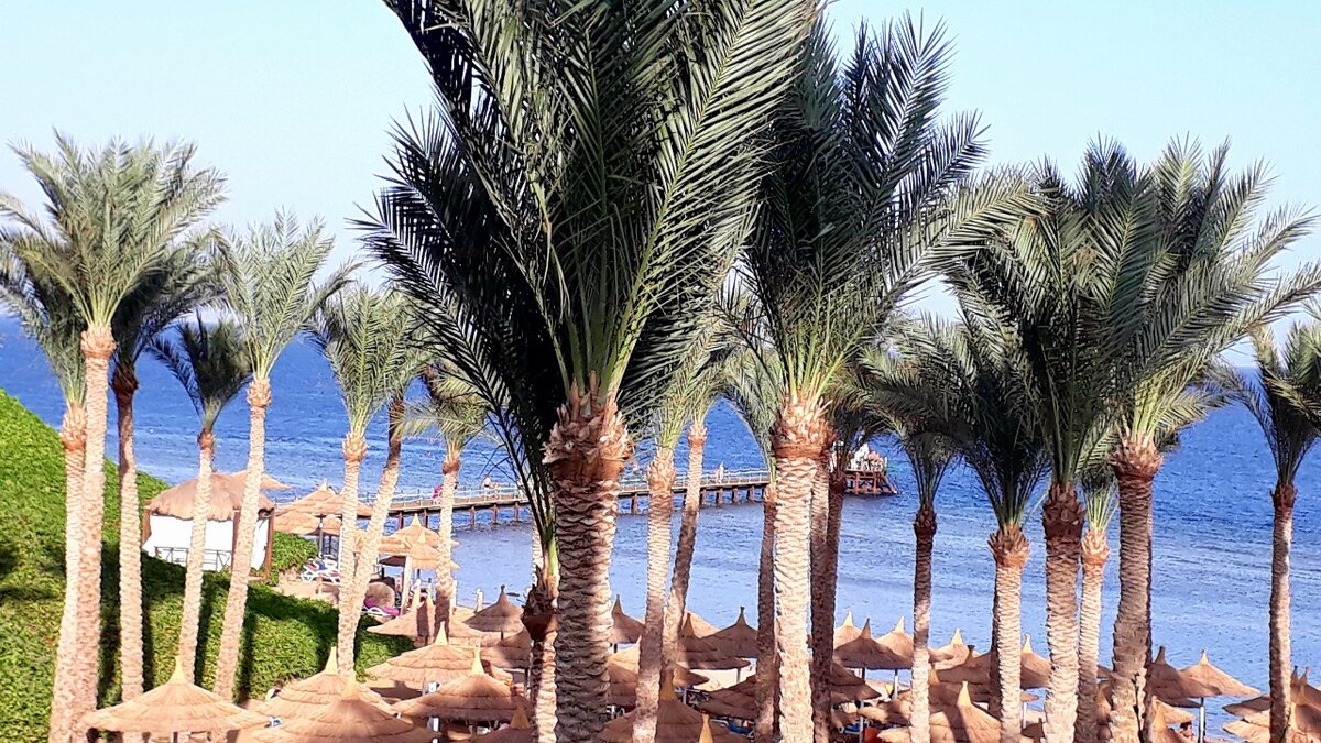 Шарм эль Шейх, Египет