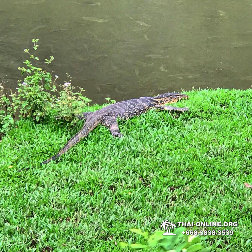 Экскурсия "Край Водопадов" в национальный парк Кхао Яй из Бангкока и Паттайи 16 августа 2022, есть места, открыто бронирование онлайн