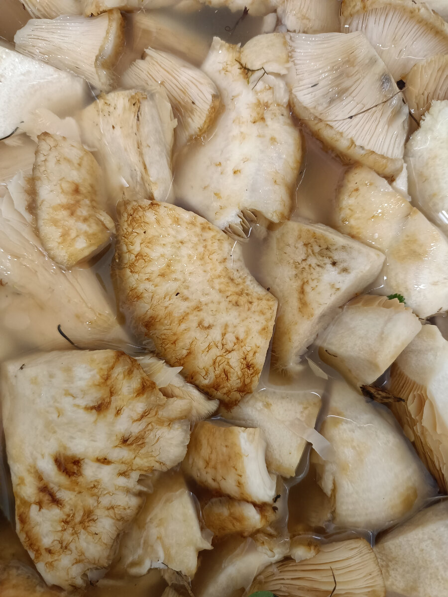 МАРИНОВАННЫЕ ГРУЗДИ. ПОШАГОВЫЙ РЕЦЕПТ | ПРЕКРАСНОЕ РЯДОМ | Дзен