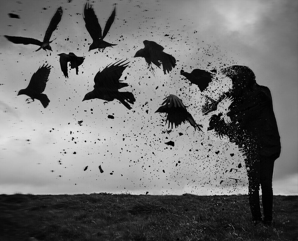 яндекс картинки