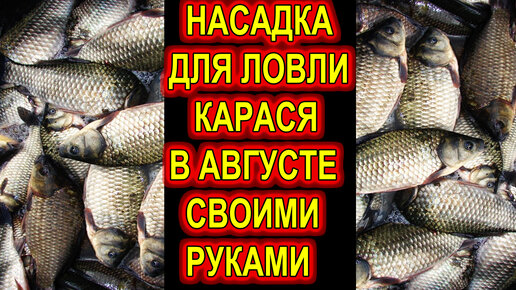 Донка на карася: подготовка снасти своими руками нюансы ловли