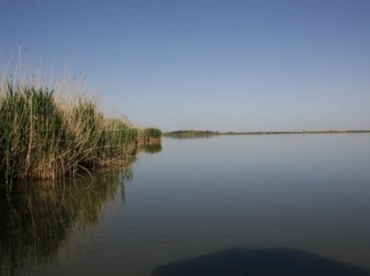    Озеро «Чудесное» в Ростовской области //Фото: fishing-life.ru