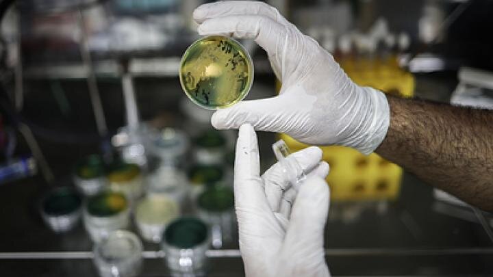 Фото: globallookpress.com/Anas Alkharboutli/dpa