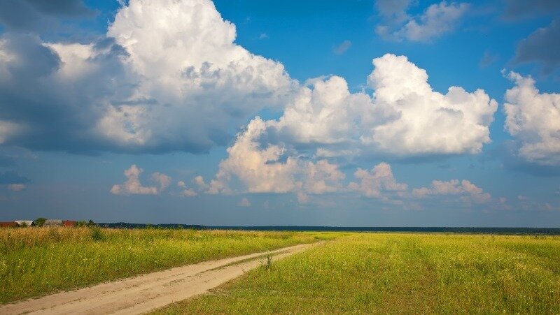 Фото: @bearfotos / ru.freepik.com