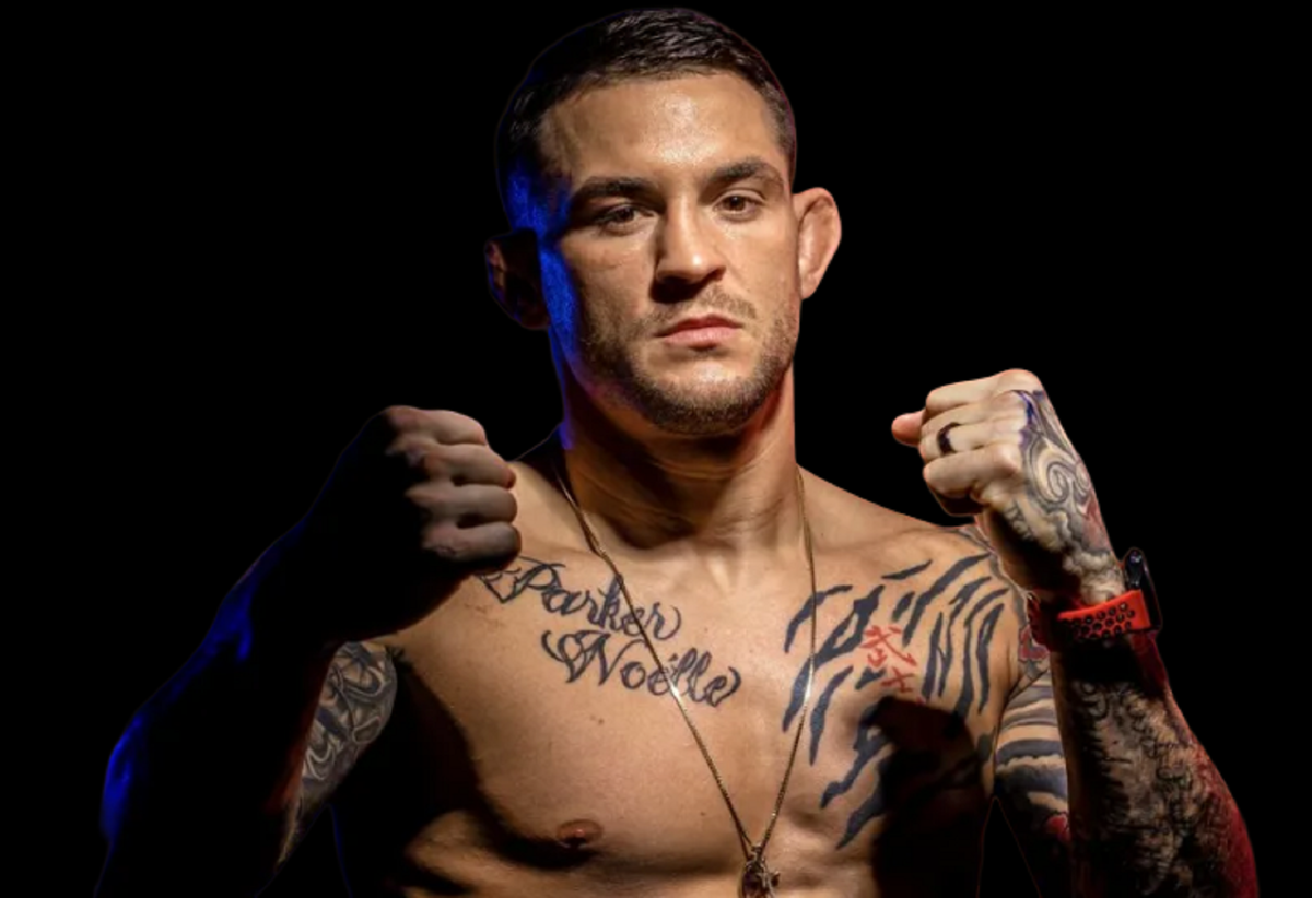 рейтинг легкого ufc. топ бойцов ufc. рейтинг легкого ufc. весовые категории в ufc мужчины в кг. легкий вес юфс.