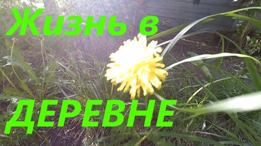 Порно отдых в деревне