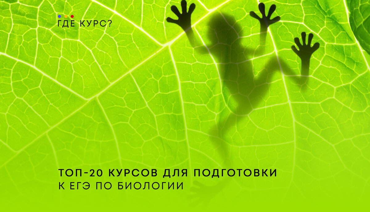 Последнее обновление: 5 сентября 2025 года.