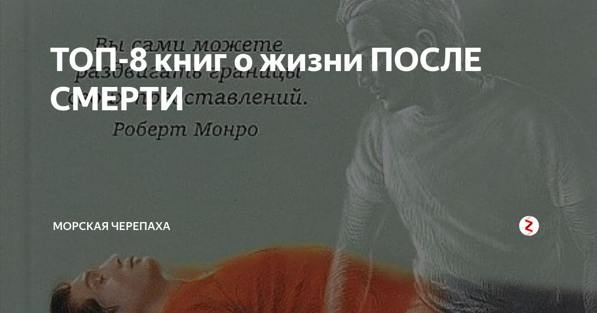 ТОП-8 книг о жизни ПОСЛЕ СМЕРТИ | Морская черепаха | Дзен