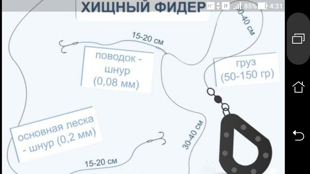 фото монтаж хищный фидер