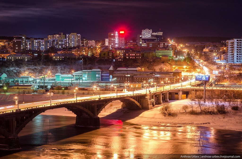 Фото: Язва Сибирская