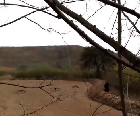 Извиняюсь за качество фото. И вообще за то, что мало фотографировал.