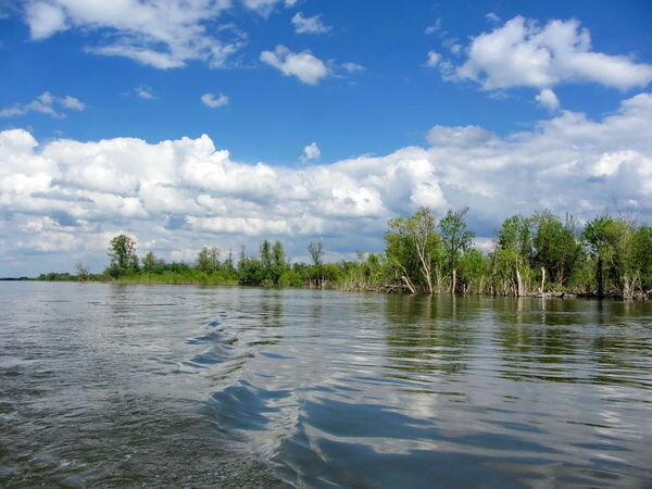 Протока образована в месте слияния Оби с Молчановским районом. Совсем рядом протекает река Чулым и расположена Береговая протока. Здесь местные жители с давних времен занимаются промыслом рыбы. Эти места отличаются чистейшей водой, поэтому привлекают, как рыболовов, так и отдыхающих. Здесь так же много мест, где не ступала нога рыболова. Рыба клюет на любые виды приманок, как природные, так и искусственные.