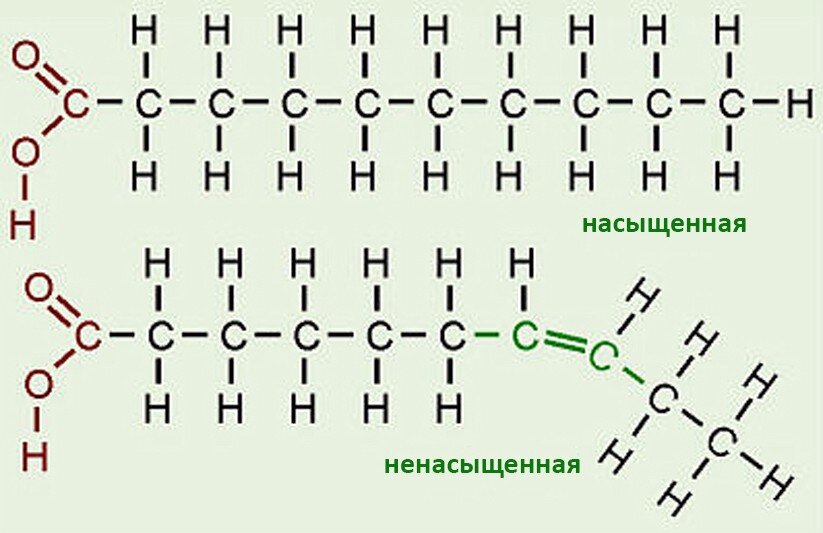 Фото 1. Насыщенные и ненасыщенные жирные кислоты отличаются по своему химическому составу характером связей атомов