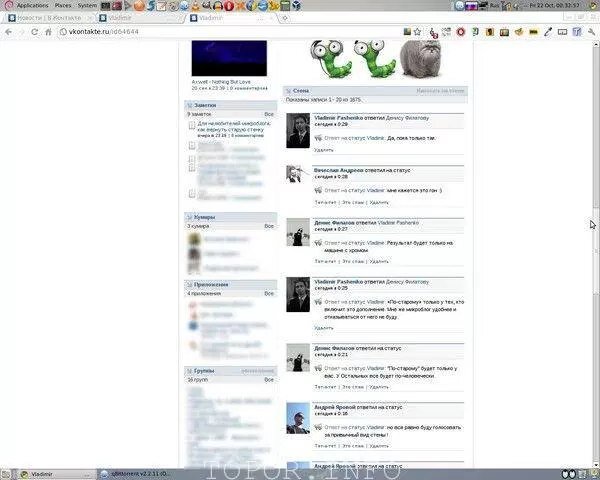 Стена. Пикча взята с сайта topor.info