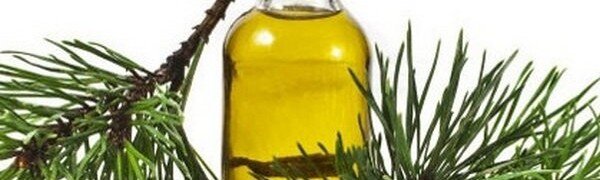 Здравствуйте, дорогие читатели. В древние времена за Иорданом располагалась благодатная местность Галаад. По свидетельству современников там был удивительно свежий воздух и произрастали редкие ценные травы и деревья. Как сейчас бы сказали – это была экологически чистая зона. Есть о ней упоминание даже в Библии. Там сказано, что алчные братья продали Иосифа купцам, которые везли в другие страны очень ценный бальзам из Галаада, изготовленный из хвои великого дерева. Так в литературе впервые было упомянуто о пихтовом масле. Пихта действительно дерево очень требовательное и во многом уникальное. Растет только в экологически чистых районах. В нашей стране это тайга Сибири. 
Еще пихта – это единственное хвойное дерево, у которого шишки растут не вниз, а вверх. Причём, на нижних ветвях шишки у этого дерева только женские, а сверху – только мужские. С древности у многих народов пихта была символом здоровья и долголетия. Она и сама дерево-долгожитель, кавказская пихта доживает до семиста с чем-то лет.

Поэтому неудивительно, что масло, приготовленное из хвои, молодых ветвей и шишек пихты издавна ценится в косметологии и особенно – в медицине.
Химический состав натурального пихтового масла

Прежде, чем говорить о ценных свойствах данного масла, давайте разберёмся, из чего оно состоит с научной точки зрения.

Основные его компоненты – монотерпеновые углеводороды и борнилацетат. Оба вещества редкие и химически активные. Борнилацетат, например, представляет собой крайне сложную эфирную смесь борнеола и уксусной кислоты.

Применяется для ингаляций, в пищевой промышленности и косметологии. Ценится в парфюмерии и бытовой химии.

В пихтовом масле много каротина – оказывается, он содержится не только в моркови. Это вещество замедляет процессы старения, помогает при лечении сердечно-сосудистых недугов и катаракты.

Еще этот чудодейственный природный бальзам содержит много витамина Е и очень ценной для здоровья аскорбиновой кислоты, о пользе которых широко известно. И, наконец, в пихтовом масле довольно серьезно представлены дубильные вещества.

Они тоже обладают редкими и нужными людям свойствами. В прошлые века, например, ими не без успеха пытались нейтрализовать попавшие в организм яды. Сейчас дубильные вещества помогают при отравлениях и для укрепления кровеносных сосудов.

Ну, и не забудем о камфоре – её присутствие в пихтовом масле ощущается даже по запаху. Это вещество давно и много применяется в медицине. Поэтому дальше стоит поговорить именно об этом.
Пихтовое масло — основные лечебные свойства 

Редкий случай – некоторые его целебные особенности одинаково признает и народная, и официальная медицина. Даже шаманы используют ветки пихты во время исполнения своих обрядов.

Масло пихты

Считается, что эфирное масло пихты лечит едва ли не все болезни – поэтому его называют лесным мумие.
Выявлено, что оно имеет следующие свойства:

    Антисептическое.
    Противовирусное.
    Бактерицидное.
    Противовоспалительное.
    Ранозаживляющее.
    Регенеративное.
    Согревающее.
    Успокаивающее.
    Тонизирующее.
    Обезболивающее.

Рассмотрим попристальнее некоторые из них. Чаще всего в так называемых простудных случаях маслом пользуются в компрессах, каплях, растираниях и просто целебных напитках.

Для внутреннего применения нужно взять стакан сока любых фруктов, кроме цитрусовых, или чайную ложку пчелиного меда и растворить там три-пять капель масла. Принимать три (минимум) раза на день.

При гриппе и при любой простуде маслом растираются, как при обычном массаже. После этого больного укутывают или тщательно накрывают теплым одеялом. Полезно выпить еще и чая с малиной.

При ангине смазывают этим маслом миндалины. При насморке закапывают несколько его капель в нос. Можно разбавить теплой водой, особенно, если болеют дети. Сначала будет чувствоваться жжение, но это быстро проходит.

Часто при простуде врачи советуют специальные ингаляции горячим паром. В емкость с сильно горячей водой прибавьте капель 5 масла – будет лучше. Правда, это противопоказано при повышенной температуре тела.

Сильный кашель можно успокоить, если накапать на корень своего языка несколько капель масла при помощи пипетки.

Пихтовое масло может помочь и при опасных сердечно-сосудистых заболеваниях. Несколько капель осторожно втирают в левой области груди. Процедуру можно повторять до 4 раз за сутки.

Радикулит и больные суставы можно лечить такими же растираниями, только перед ними нужно натереть больные места еще и спиртом.

7 капель пихтового масла вместе с небольшим количеством мази Вишневского положите на кусок бинта. Эта примочка поможет при возникновении фурункулов.

Если приложить ватку, на которую нанесены несколько капель масла, к больному зубу, боль через некоторое время утихнет. В случае необходимости процедуру можно повторить.

При сильных ушибах, которые тоже причиняют боль, масло втирают в место ушиба дважды в день – утром и вечером.

Помогает это средство при получении ран и порезов. Здесь вашими союзниками будут компрессы с раствором нескольких капель лесного бальзама. Только следует помнить, что глубокие и обширные раны лечить таким образом нельзя.

Разные дозы рассматриваемого сегодня масла могут оказать прямо противоположное действие. Например, если в ванну перед сном добавить 5-6 капель этого средства, бессонница в эту ночь вас покинет. Если же капель добавить раза в два больше, процедура существенно взбодрит.

Примочки и сидячие ванны из хорошо разбавленного масла, добытого из пихты, иногда успешно лечат простатит.

Пихтовое масло и онкология — сложный вопрос. Официальная медицина в этом направлении его не применяет, как и вообще травы. Однако некоторые сибирские целители лечат рак с помощью пихтового масла в сочетании с живицей – экстрактом из коры пихты.

Насколько это лечение успешно, сказать трудно, но истории про исцеления онкологических больных таким образом периодически появляются в Интернете.
Применение пихтового масла в дерматологии

Для многих людей заболевания кожи серьезно отравляют жизнь. Прибавьте к этому большое количество всевозможных псевдокремов и мазей, которые не только не помогают выздоровлению, но и ухудшают течение болезни.

Пихтовое масло не содержит никаких вредных примесей. И поэтому при правильном применении способно помочь найти пути к выздоровлению.
Ожоги

Ожог – тоже все-таки кожное заболевание. Приходит оно неожиданно и требует немедленного реагирования. Но как быть, если под рукой нет соответствующих мазей или лекарств?

Просто подставить, например, руку под струю холодной воды — мера хоть и действенная, но временная. А вот пихтовое масло поможет сразу. Для приготовления мази нужно смешать в равных долях пихтовое масло и натуральную жировую основу.

Приложить к руке и забинтовать. На следующий день, если ожог сильный, пропорцию масла можно увеличить. И так – до полного выздоровления .
Бородавки

Тоже трудно поддаются лечению. Часто использование сомнительных рецептов ситуацию заводит почти в тупик. Пихтовое масло реально помогает и здесь. Здесь его ни разводить, ни смешивать ни с чем не нужно.

Достаточно несколько раз в день на зловредную бородавку просто капать маслом. Так же можно лечить и папиллому.
Мокрая экзема

Тоже болезнь не из приятных. Если привяжется – то надолго. Пихтовое масло приходит на помощь и в этих случаях.

Быстрой победы в борьбе с экземой всё-таки ждать не стоит, но бороться нужно. Масло смешать в равных пропорциях с любым животным или птичьим жиром. Гусиный, например, вообще считается в этом плане эталоном.

Получится мазь, которой надо смазывать проблемные места дважды в день – утром и вечером. Если улучшение не наступило, необходимо вместе с этой процедурой ежедневно принимать внутрь по 7-10 капель. Таким же образом хорошо лечится дерматит.
Грибковые заболевания

Здесь очень хорошо помогают ванночки для ног с теми же каплями масла. Грибковые заболевания, особенно стоп, – явление, как говорят медики, очень привязчивое.

Природная активность компонентов пихтового бальзама подавляет активность грибковую, нужно только регулярно проводить процедуры.
Образование морщин, папиллом

Увядание кожи с возрастом, образование морщин тоже можно предупредить иди замедлить этот процесс с помощью пихтового масла. Достаточно две-три капли этого средства добавить в обычный крем, которым вы обычно пользуетесь. Эффект будет заметен уже через несколько дней.
Пихтовое масло и официальная медицина

Почему-то принято считать (и некоторые целители этим козыряют), что классическая медицина относится к пихтовому маслу прохладно. На самом деле это не так. Начнём с того, что об этом чудесном эликсире упоминал еще Гиппократ.

Современная медицина, и фармакология в частности, особенно ценит и использует камфору, которой в пихтовом масле достаточно. Из камфоры готовится раствор для инъекций, раствор из камфоры и из салициловой кислоты, мазь, камфорный спирт. Она часто входит в состав многокомпонентных лекарств, успешно взаимодействуя, например, с валерианой.

Пихтовое масло в современной медицине эффективно для лечения астмы. органов дыхательных путей, кожных заболеваний. Во многих санаториях ванны с маслом пользуют для излечения опорно-двигательного аппарата и простатита.

Пихтовое масло

Даже в родильных домах его применяют для дезинфицирования помещения и в качестве отличнейшего ароматизатора.

Широкое распространение получило сейчас излечение с помощью так называемых аэроламп.
Очищение организма пихтовым маслом 

Методика этой процедуры проста. Но достаточно действенна пихтовое масло способно выводить из организма человека шлаки и улучшать флору кишечника. На это уйдёт несколько дней. Но зато эффект ощущается почти сразу.

Согласно методике очищения пихтовым маслом нужно взять чайную ложку сахара-песка или совсем немного рафинада, накапать туда определённое количество капель и запить небольшим количеством чистой воды или некрепкого чая.

Больные со сниженной или с нормальной кислотностью желудка принимают это средство, как и все лекарства, перед трапезой, с повышенной — после еды.

График приёма сахара с маслом натуральным пихтовым:

    первый и второй день – по 3 капельки трижды в сутки;
    следующие два дня – 4 капли 3 раза трижды в сутки;
    следующие два – по 5 капель 3 раза в день;
    далее (два дня) – 6 капель трижды в сутки;
    следующие два – 7 капель трижды в сутки;
    11 и 12 день – 8 капель 3 раза в день;
    следующие два – 9 капелек трижды в сутки;
    и следующие два – по 10 капель 3 раза за день!

Если во время этих процедур наблюдается учащённое сердцебиение, приём приостановите. Можно выбрать график постепеннее. Только более 10 капель за один раз принимать не нужно.
Противопоказания

Не следует проводить курс лечения данным маслом с внутренним применением людям с язвой желудка.

Причина понятна – лесной бальзам вещество очень активное и раздражает стенки желудка. Противопоказано такое лечение беременным женщинам и маленьким детям.

Не стоит его принимать больным эпилепсией.

С большой осторожностью его следует применять людям с сердечно-сосудистыми заболеваниями – масло обладает тонизирующими свойствами, которые возможно, вам противопоказаны.

В любом случае перед началом лечения следует посоветоваться с квалифицированным врачом.
Можно ли приготовить пихтовое масло в домашних условиях ?

Процедура эта несложна, хотя и занимает много времени. Мелко нарежьте хвою и молодые веточки пихты без побегов.

Положите всё это в двухлитровую банку, оставив сверху сантиметров 5-8. Залейте до этого уровня маслом подсолнечника.

Поставьте в кастрюльку и накройте неплотно крышкой. Налейте в кастрюльку воды до ее половины и поставьте на медленный огонь.

Упаривание должно происходить 5 часов. Выкипающую из кастрюли воду периодически доливайте.

В банке в это время будет интенсивно происходить выделение пихтового масла. Через 5 часов масло из банки слейте в отдельную посуду, хвою и ветки отожмите и выбросьте.

Повторите процедуру еще раз, положив в банку новую порцию хвои с ветками и залив их ранее приготовленным маслом.

Через пять часов слейте масло из банки. Оно готово.
Применение в косметологии

В Канаде растёт своя разновидность пихты. Известно, что индейцы, которые там были коренными жителями, использовали разведённую смолу пихты для раскрашивания лица и смягчения кожи. Так что косметические свойства этого дерева проявились уже давно.

Особенно полезно и эффективно использование для ухода за кожей лица. Современные женщины это уже оценили по достоинству. Достаточно добавить несколько капель масла в обычный крем для лица и это поможет сохранит естественный цвет кожи, очистит поры, приостановит процесс старения кожи возникновения морщин.

Эффективно действуют такие кремы на проблемную угреватую кожу, в борьбе с веснушками. Маски с добавлением пихтового масла резко повышают их эффективность. Только не переусердствуйте – компоненты, содержащиеся в лесном бальзаме, очень биологически активны.

Мужчинам рекомендуется добавлять несколько капель масла в кремы и бальзамы после бритья, это не только увлажнит и поддержит кожу, но и быстро заживит мелкие ранки, если они появились.

    Несколько капель пихтового масла за два-три дня избавят вас от герпеса.

Помогут несколько капель пихтового масла и в уходе за волосами и кожей головы. Добавьте их в ваш любимый шампунь, и ваши волосы перестану быть ломкими и тусклыми.

По причине того, что вещество, о котором мы говорили сегодня, является для нас еще пока не очень привычным, его популярность не столь высока.

Но, лучше обратить свое пристальное внимание на него, так как с помощью этого удивительного источника силы, красоты и здоровья можно решить множество проблем с состоянием организма (физическим и психологическим), а также — предупредить их проявление.