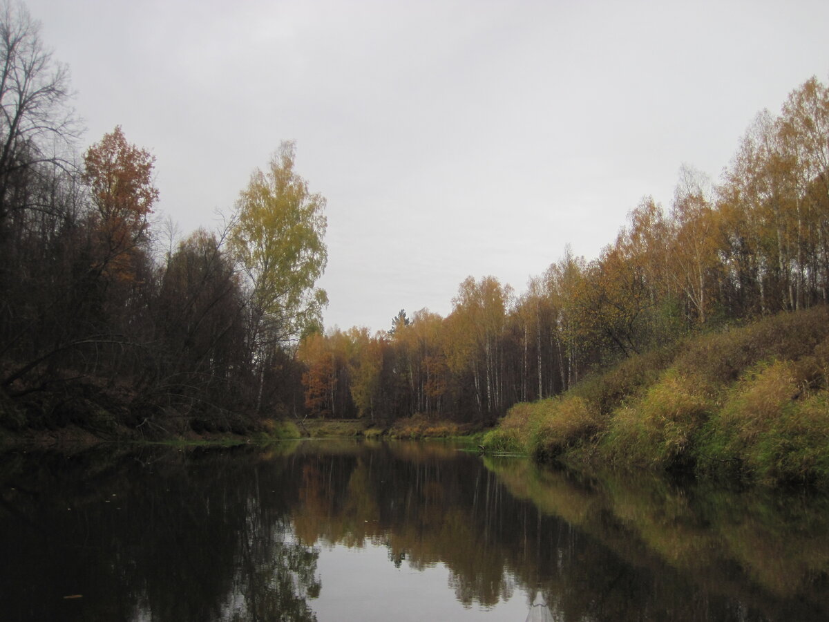 Муромский лес Родники речки