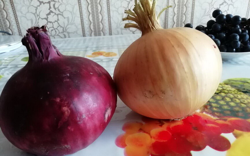 Одна головка сорта штутгарт весит 430 граммов, красного лука – 410 г.