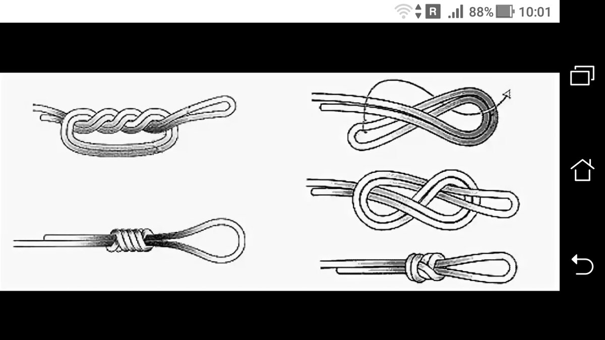 фото рисунок: Рыболовные узлы и петли: узел восьмерка и хирургическая петля 