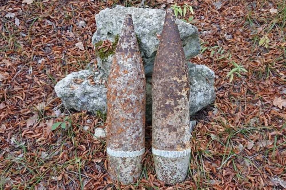  Фото: пресс-служба Управления Росгвардии по городу Севастополю