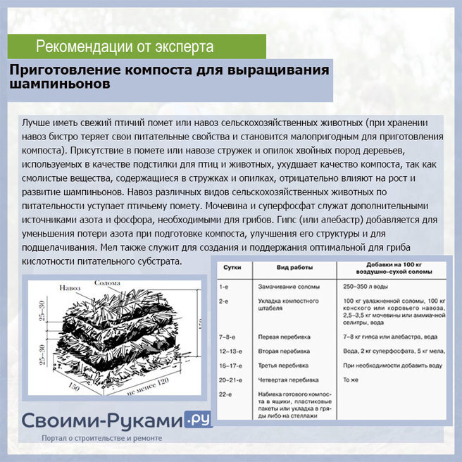 Проект по биологии выращивание грибов 7 класс