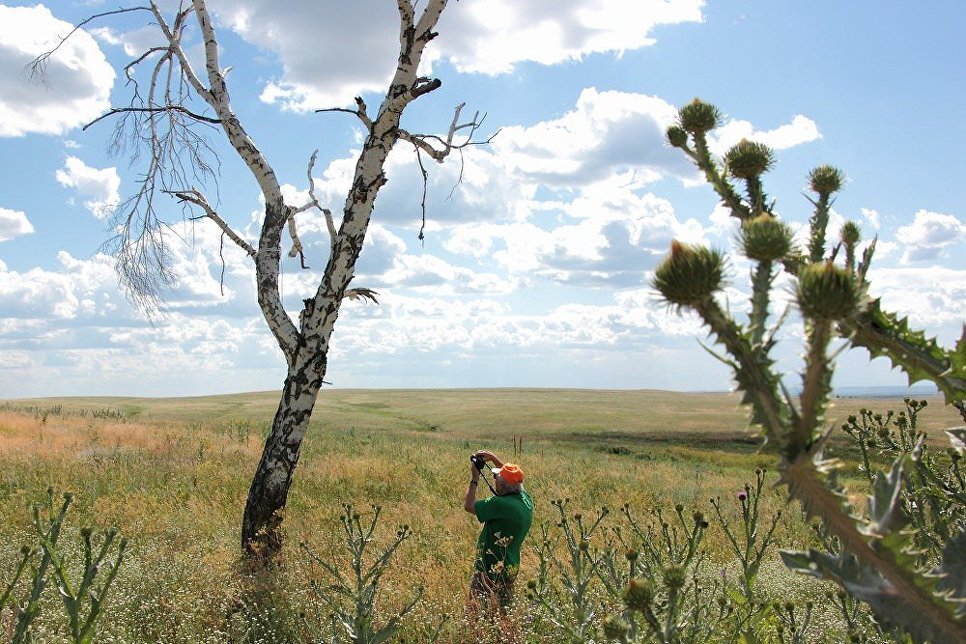 © Фото : Наталья Хитрова, Медведицкая гряда