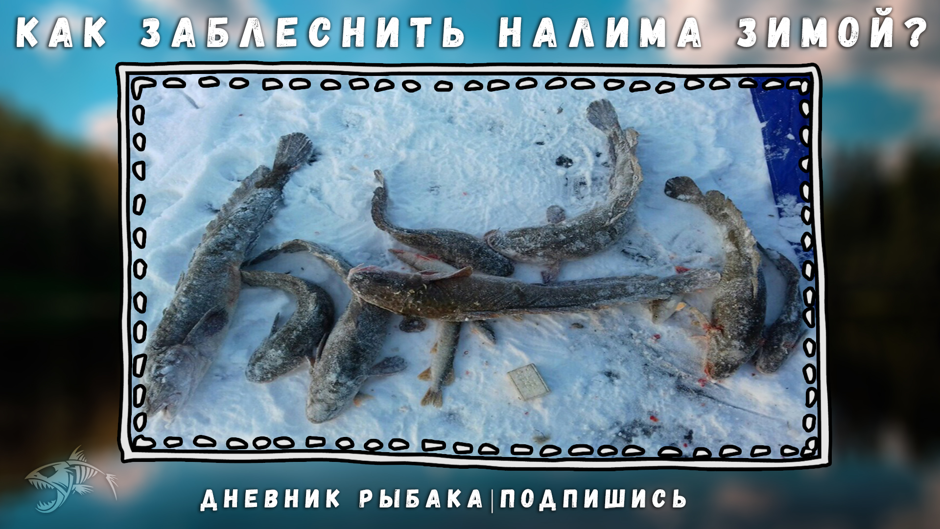 Как заблеснить налима зимой?