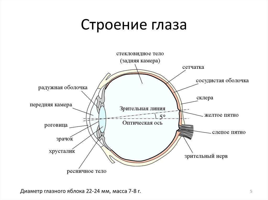 Размытое (затуманенное) зрение