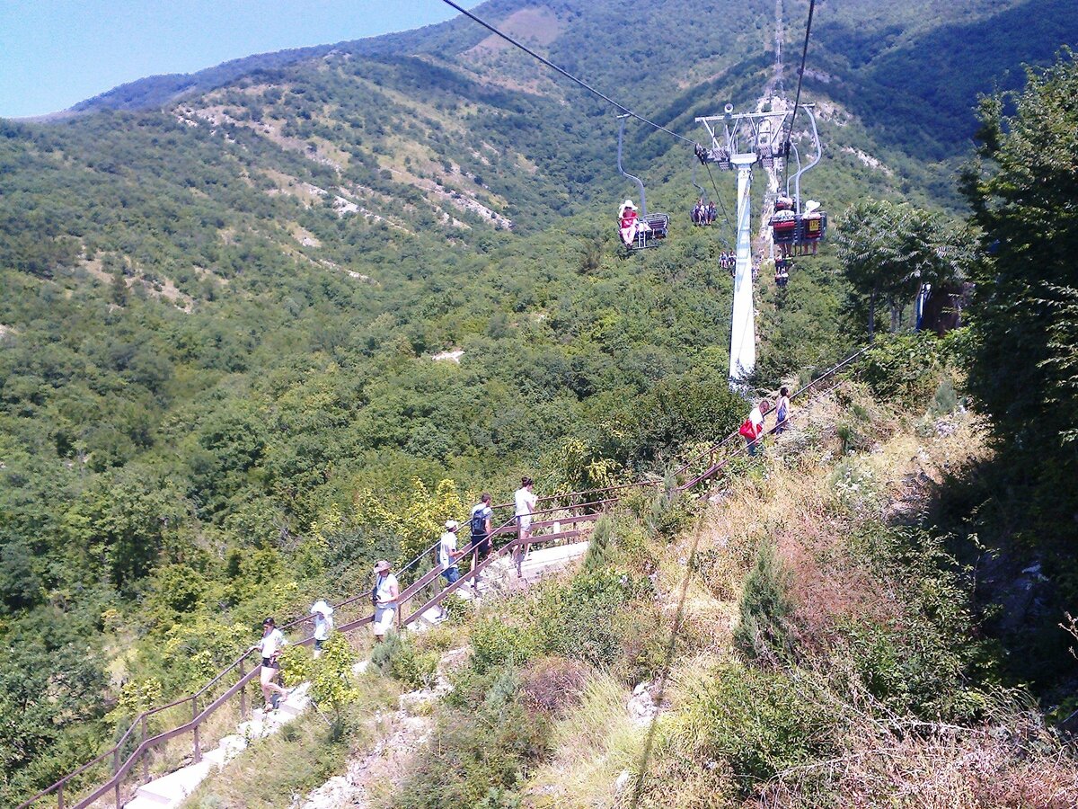 в парке геленджика