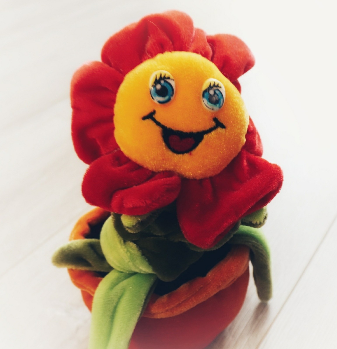 Такой цветочек и балкон украсит, пока будет проходить процедура.