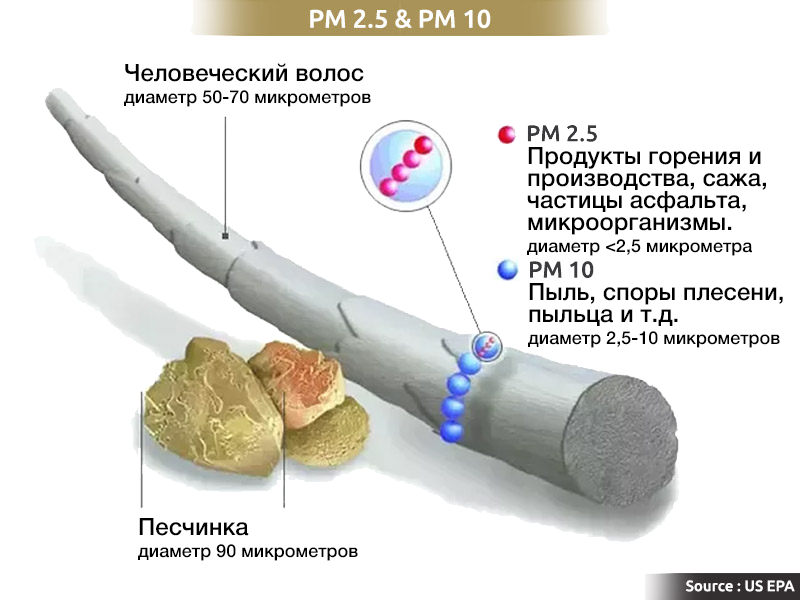 Диаметр волоса