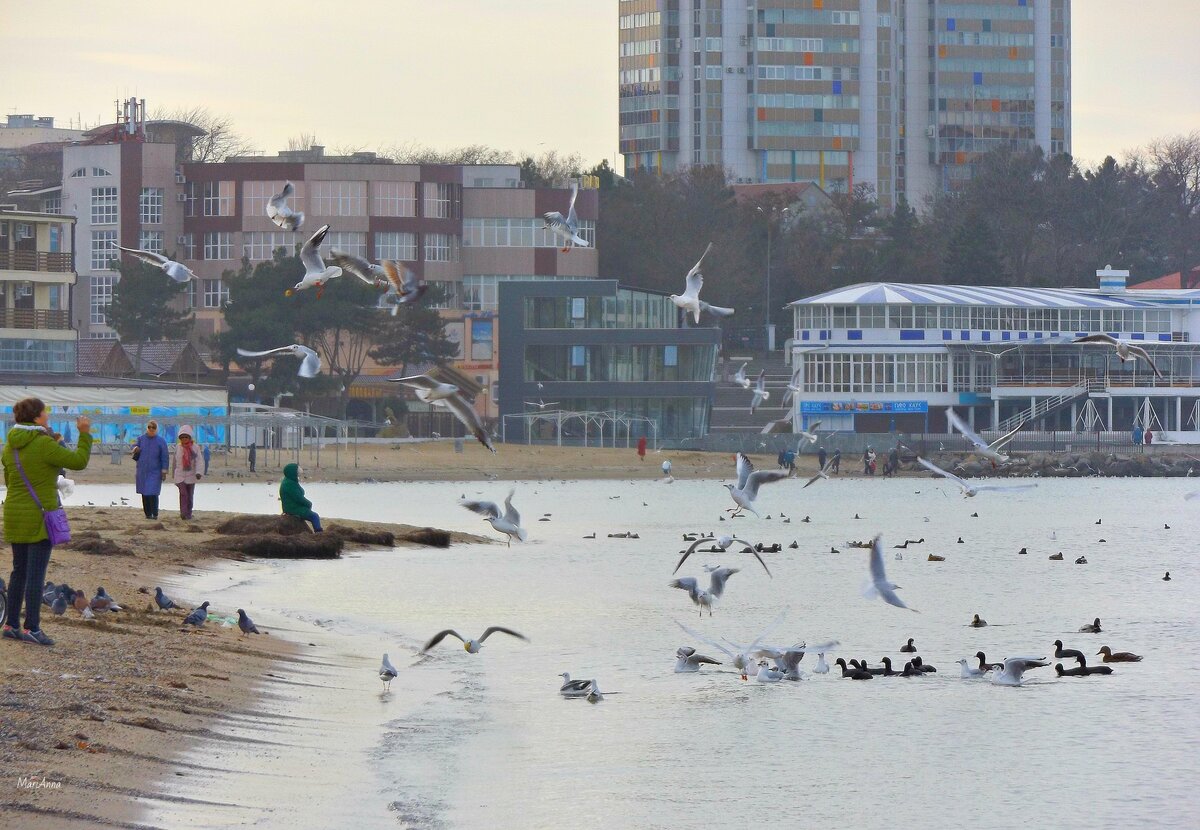 Погода в анапе на завтра. Ветер в Анапе. Погода в Анапе. Погода в Пшапе. Анапа сегодняшний ветер.