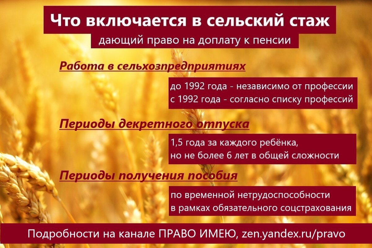 Что такое «сельский стаж» и какое значение он имеет для назначения пенсии |  ПРАВО ИМЕЮ | Дзен