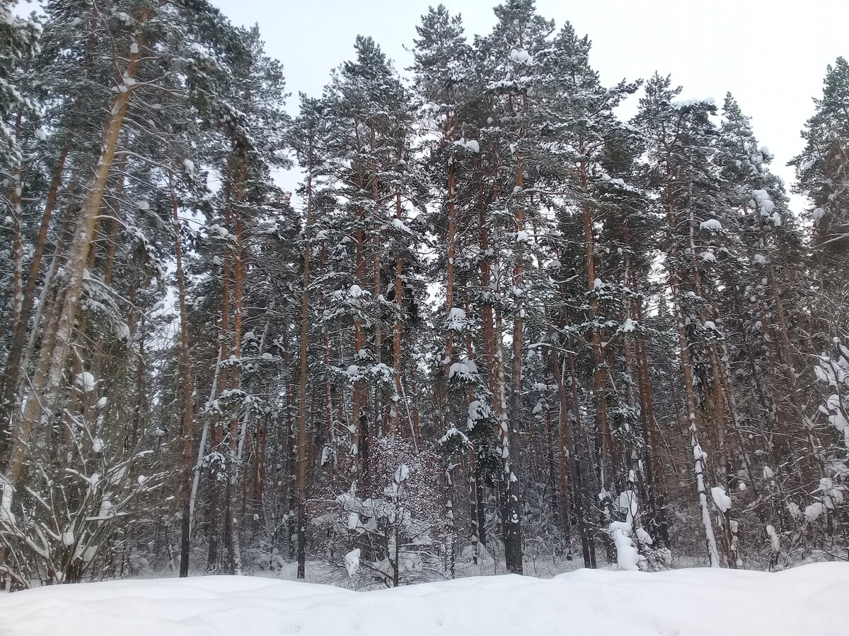  Попросил жену сегодня заехать, люблю это место.