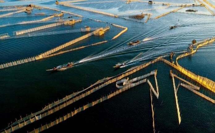 Ảnh: Trương Vững