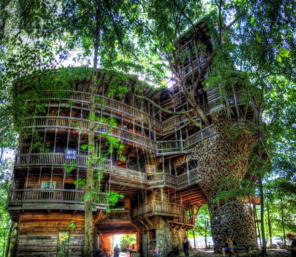 Tree House Кишинев. Алникский дом на дереве. Дом Горация Берджесса.. Дом на дереве в Кроссвилле.