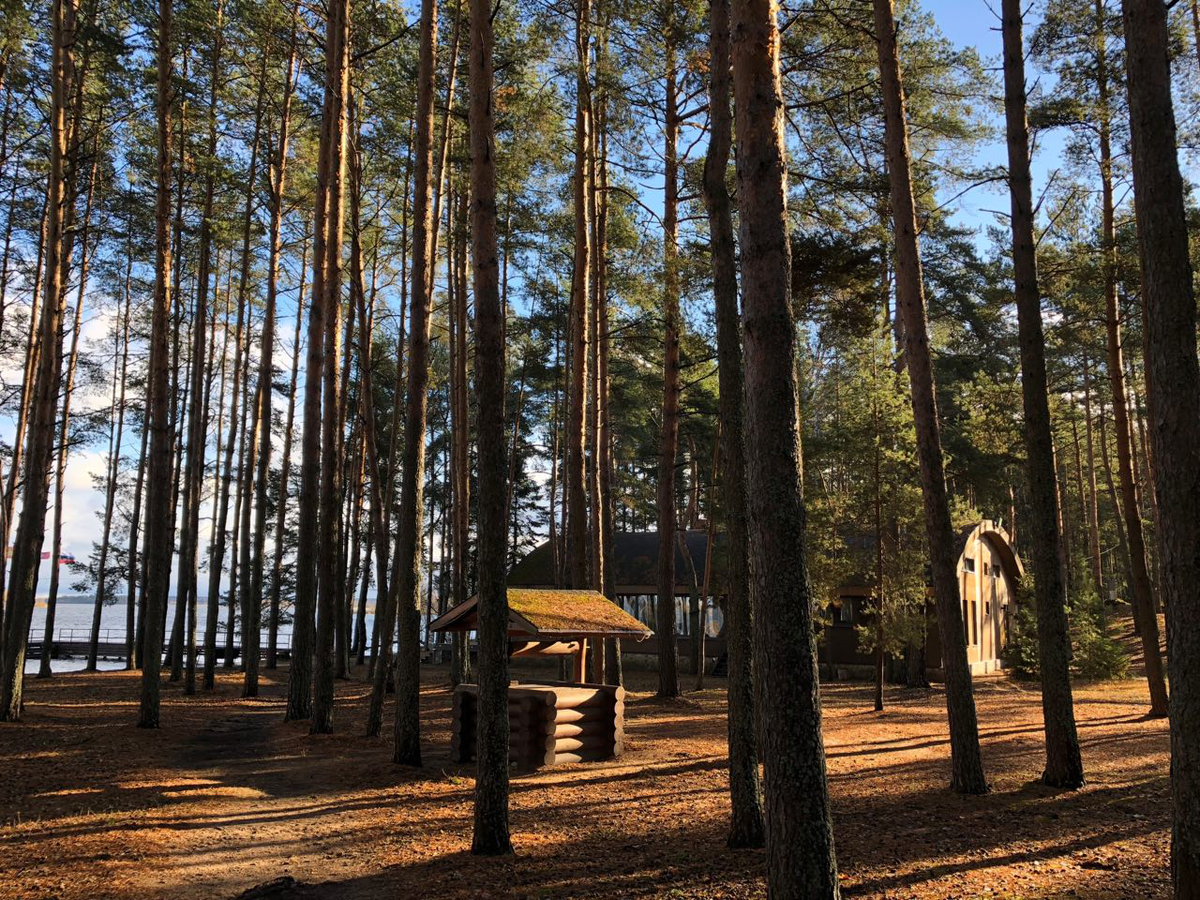 Воздух! Река! Сосны! И никаких лишних глаз!