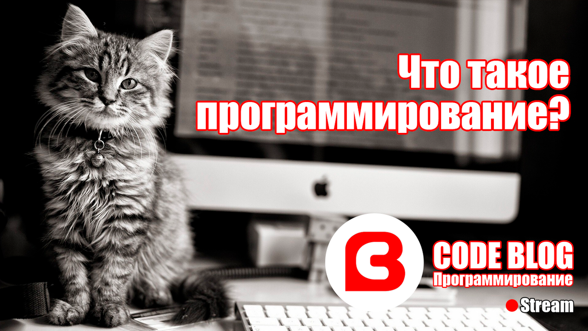 Что такое программирование