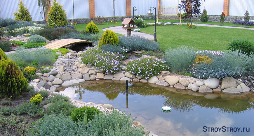 Водные объекты очень популярны у хозяев загородных участков. Прудики оживляют «сухопутный» ландшафт и служат дачными «оазисами» в летний зной. Такие водоемы улучшают микроклимат владения, увлажняя воздух в сухую погоду.