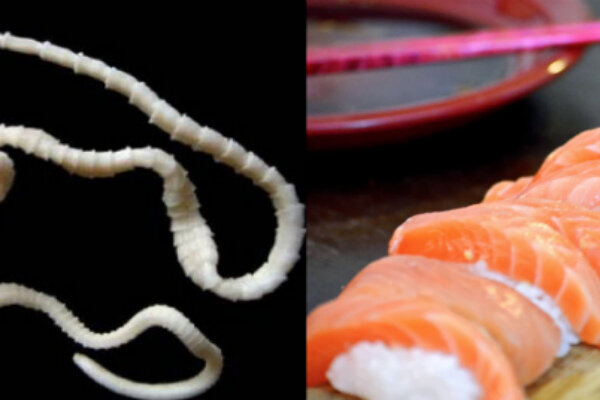 Источник: https://www.google.ru/imgres