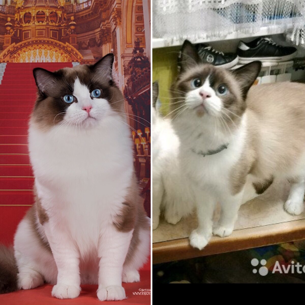 Ожидание - реальность.