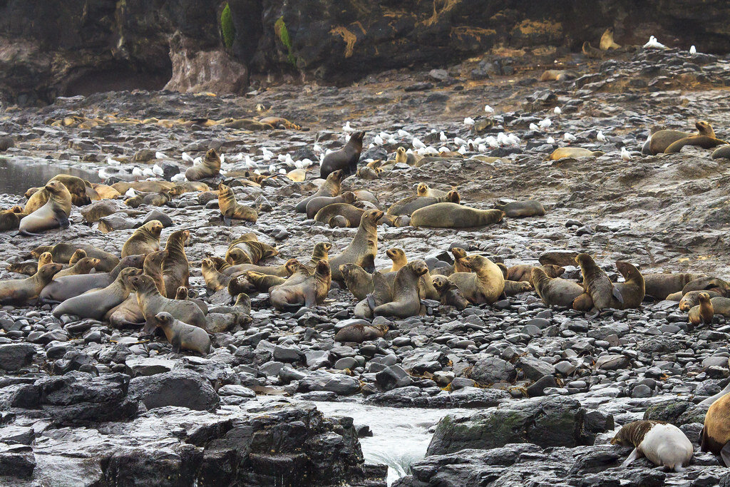 Примерно так выглядел остров