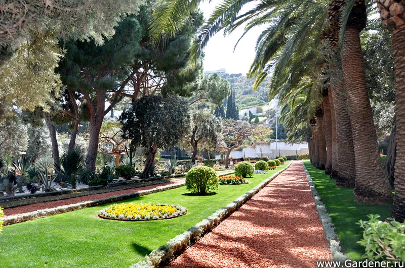 Бахайские сады в Хайфе. Попытка рукотворной реконструкции Эдема.