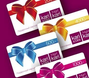 kari.com