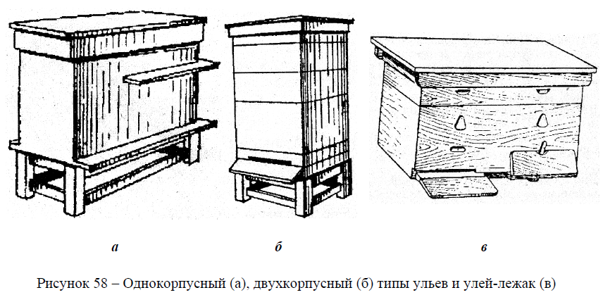 Улей Дадан: нестареющая классика