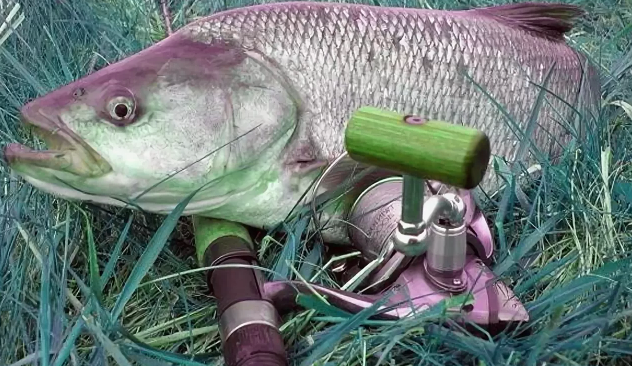 Иллюстрация из открытого источника