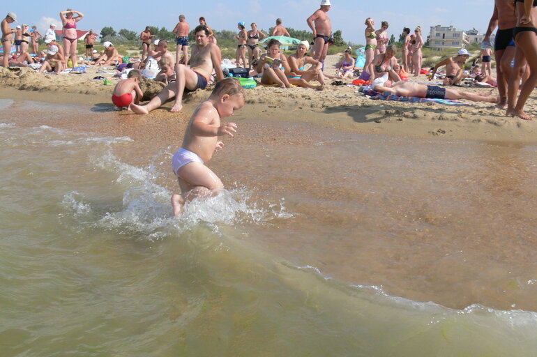 Купание запрещено на речке. Пляж артамонова. Борисовские пруды пляж. Борисовские пруды купание. Пляж борисовские пруды 2022.