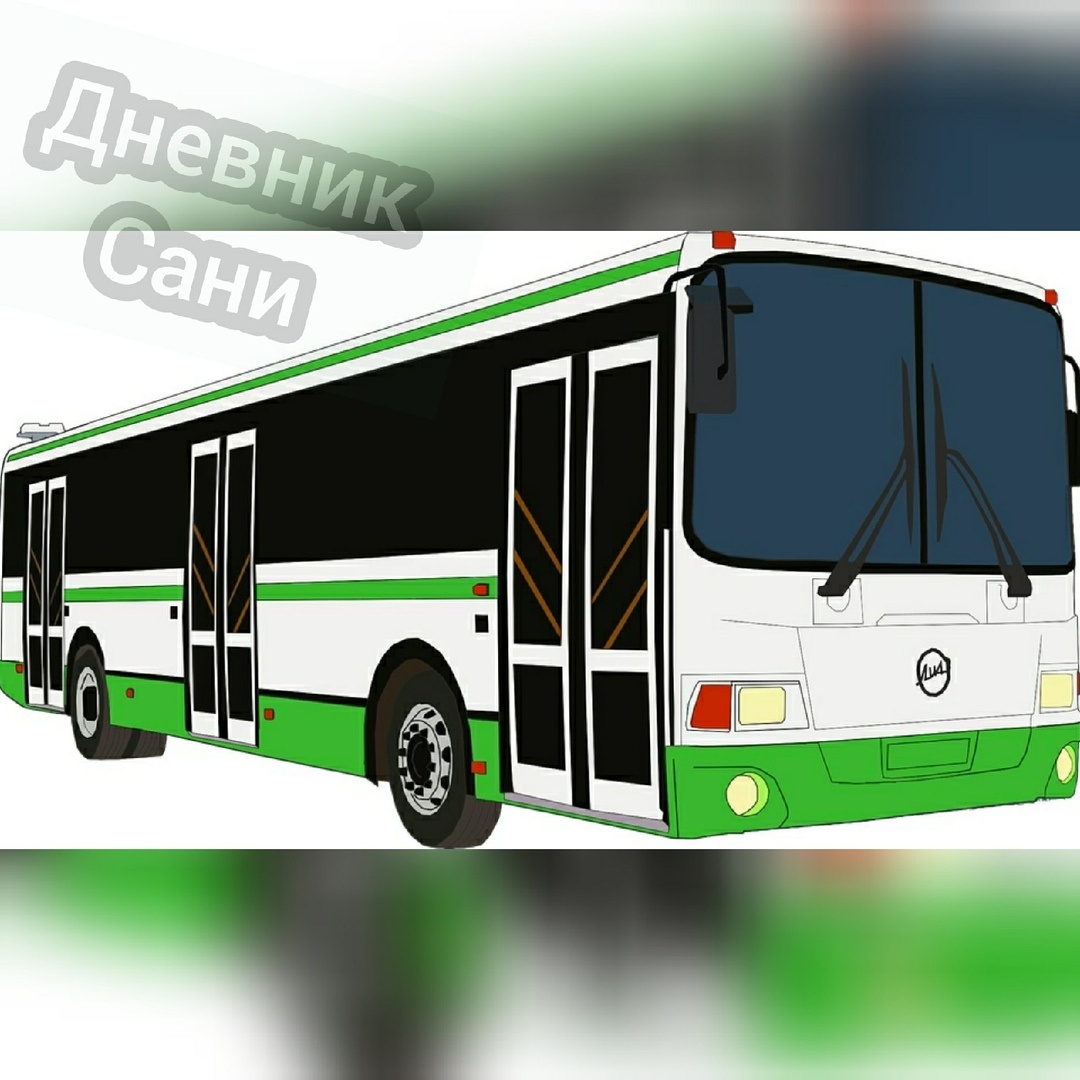 Пьяная девушка в автобусе