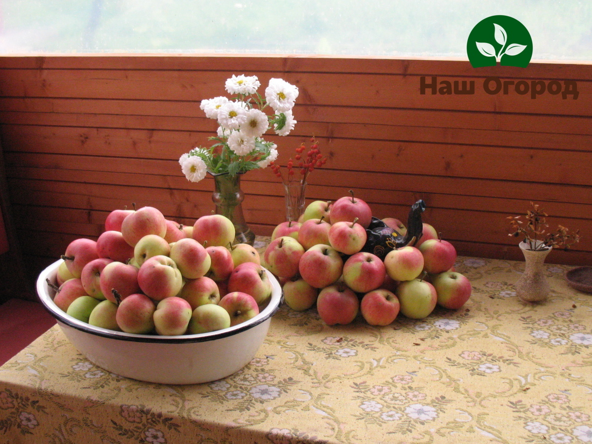 И урожай спасем и дома от неприятных последствий избавимся.